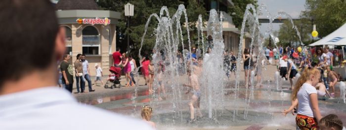 Каникулы ботаников