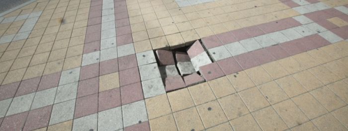 Каникулы ботаников