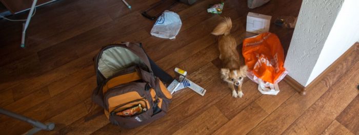 Каникулы ботаников