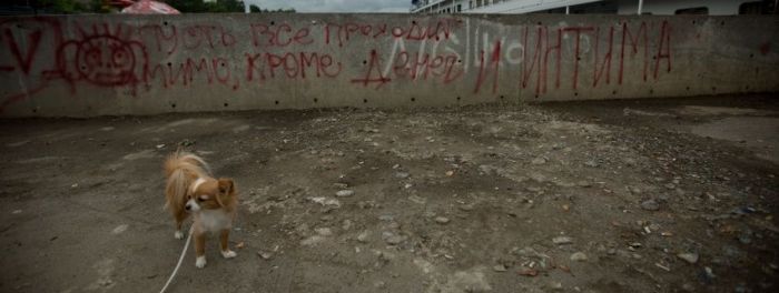 Каникулы ботаников