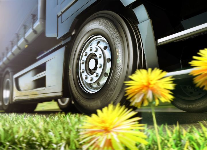 Continental изготовил шины из одуванчиков