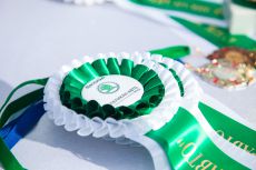 Кубок «ПЕЛИКАН-АВТО» по конкуру