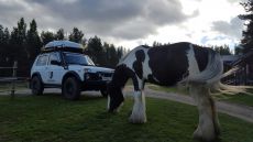 &laquo;ДИКАРИ&raquo; на LADA 4x4 покорили Север