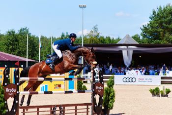 Ауди Центр Выборгский стал партнером &laquo;Открытого кубка губернатора Ленинградской области&raquo; по конному спорту