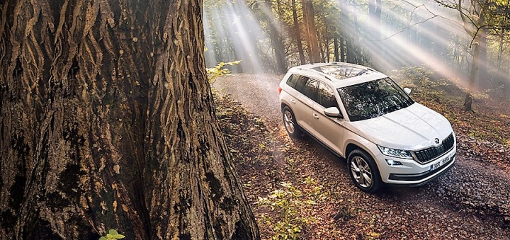 Новый SKODA KODIAQ появится в России в июне