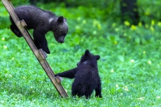 Фото Кирилла Уютнова