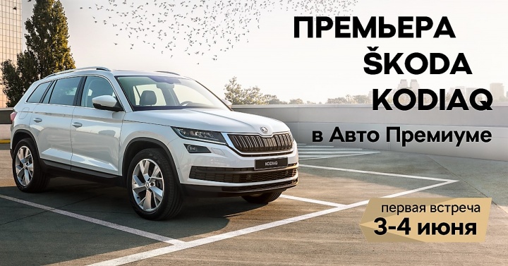 SKODA KODIAQ в &laquo;Авто Премиуме&raquo; - место встречи изменить нельзя!