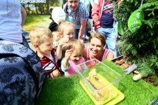 Официальные дилеры SKODA представили SKODA KODIAQ на празднике &laquo;Папин день&raquo;!