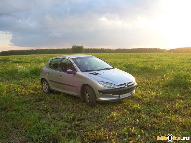 Пежо 206